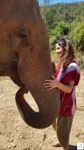 discovery elephant keeper chiang mai thailand