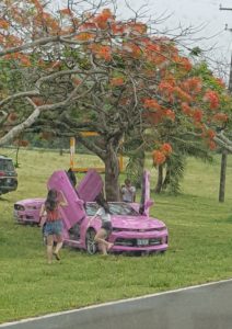 pink mustang posing saipan marianas