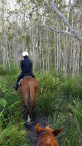 horse riding noosa sunshine coast australia