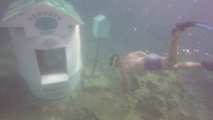 vanuatu underwater post