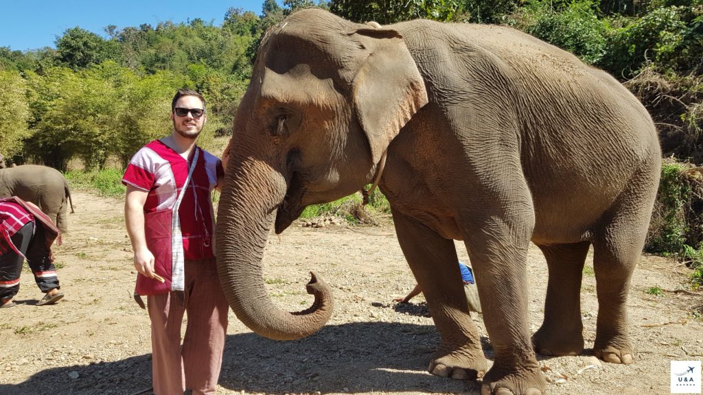 man and elephant