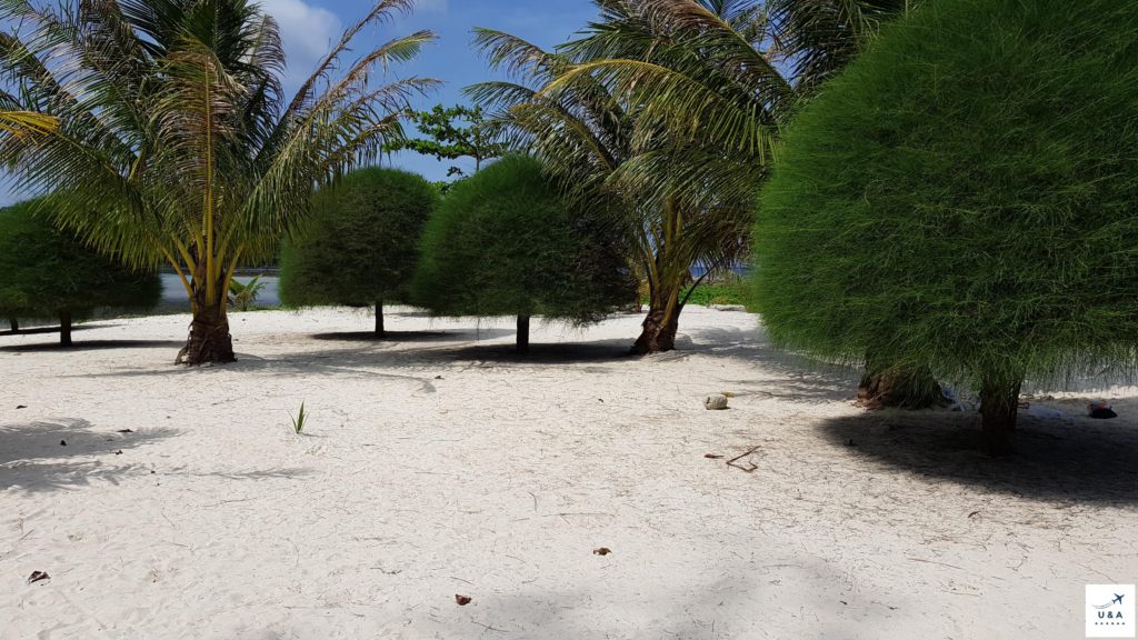 beach north of koh phangan