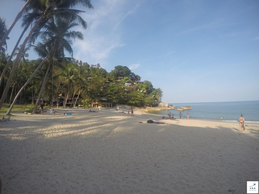 beach in koh phangan