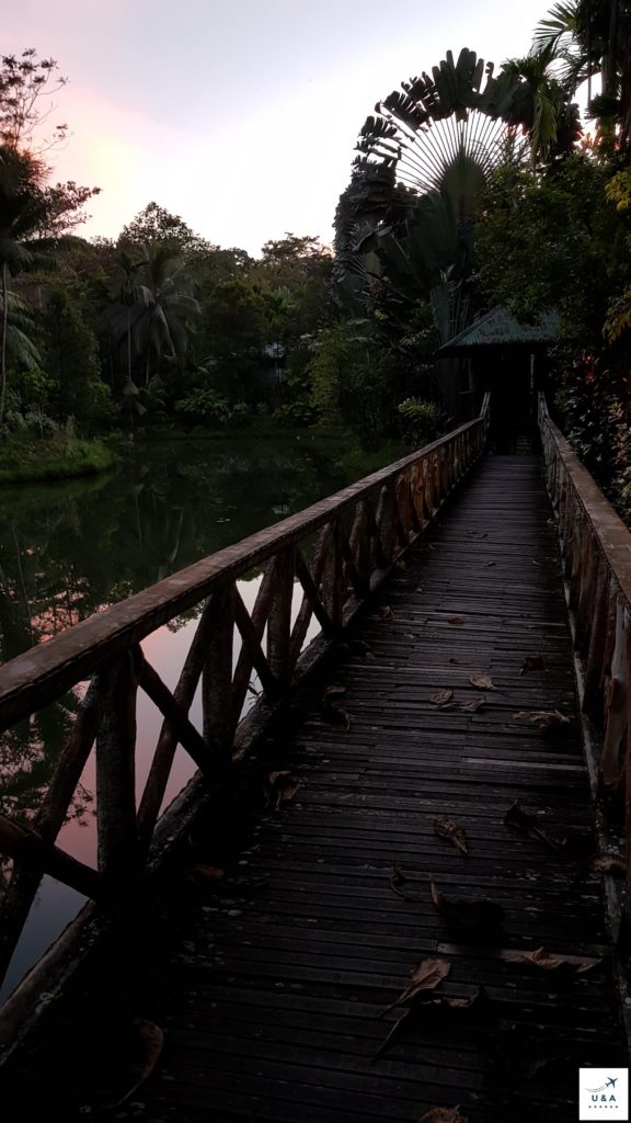 Walk way at Sepilok Jungle Resort