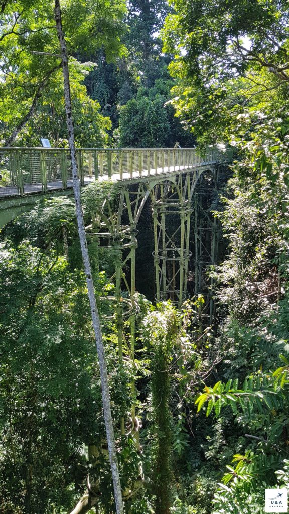 Canopy brigde at Rainforest Discovery Center (RDC) at Sepilok