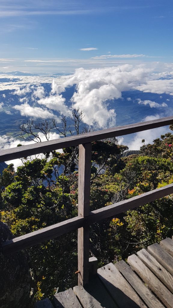 mount kinabalu path