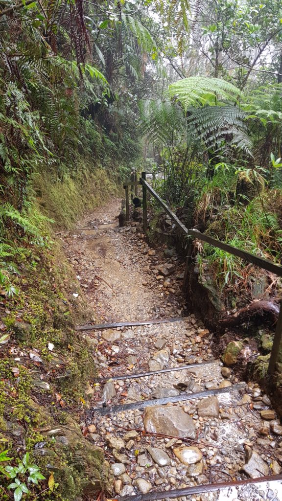 mount kinabalu path