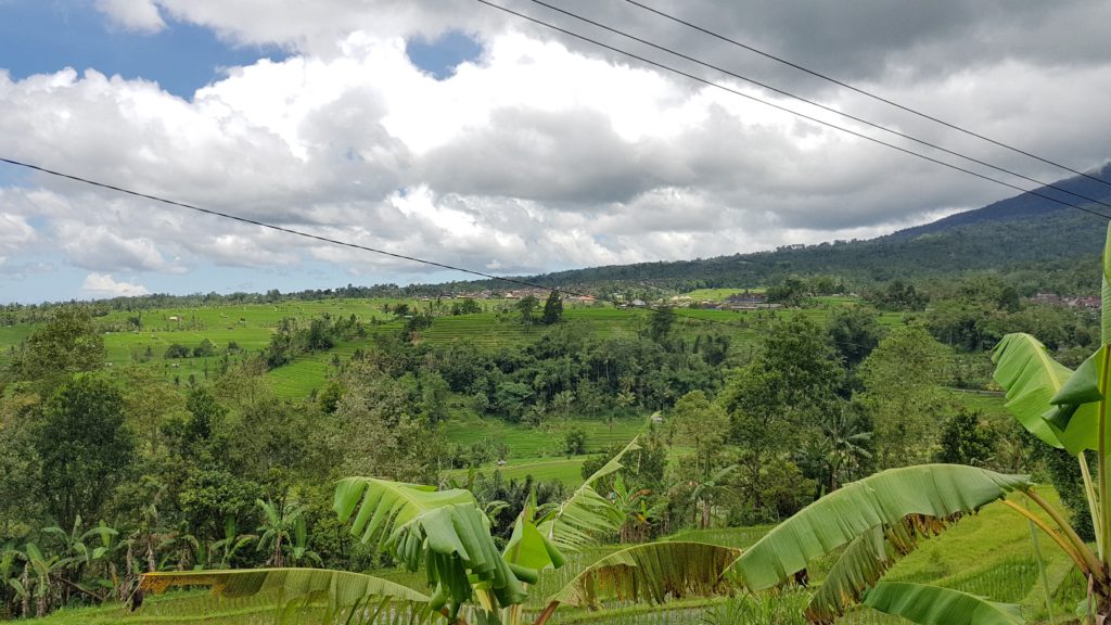 UNESCO jatiluwih rice fields