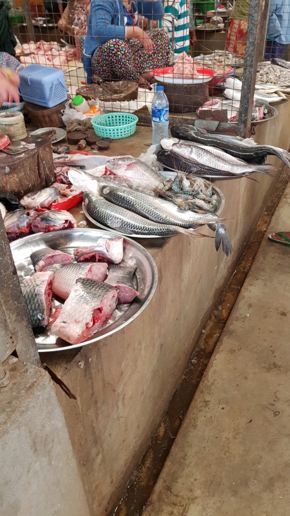 fish at morning market bagan