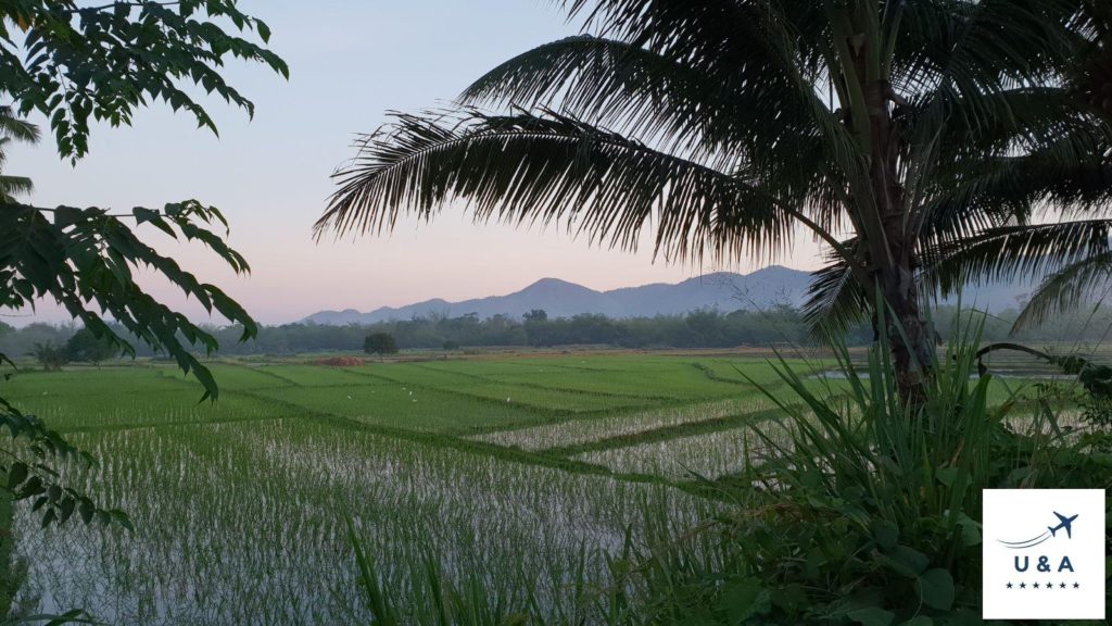 green fields el nido palawan philippines