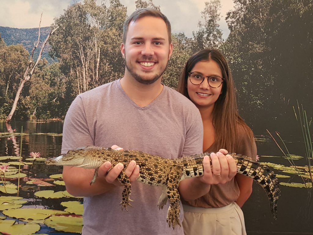 crocodile holding hartleys crocodile adventure cairns queensland australia