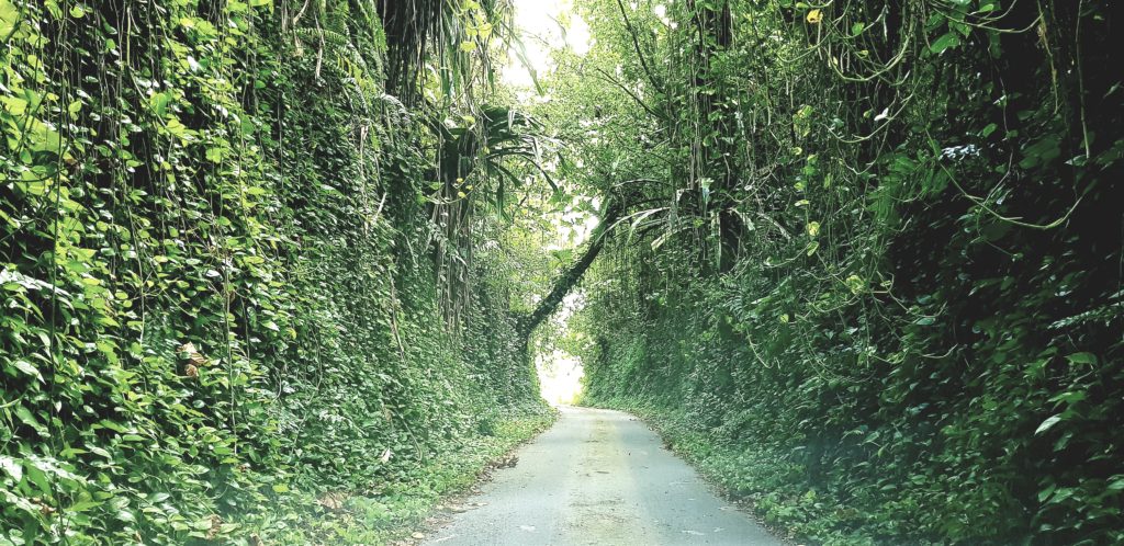 street rota marianas