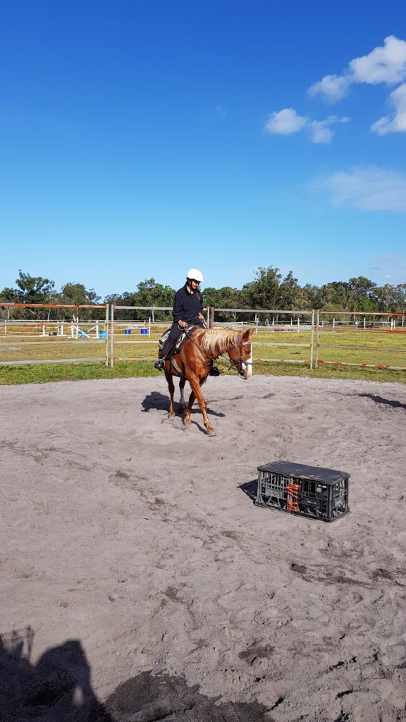 horse riding noosa sunshine coast australia