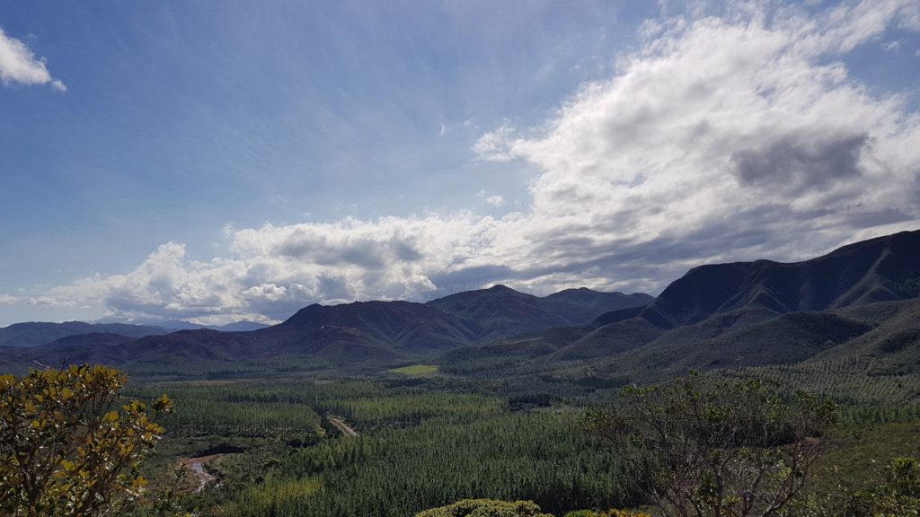 nature road in caledonia