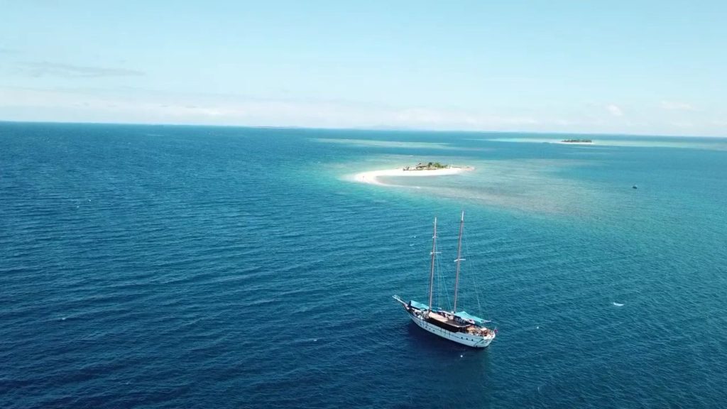 whale's tale cruise boat shot by drone schooner island