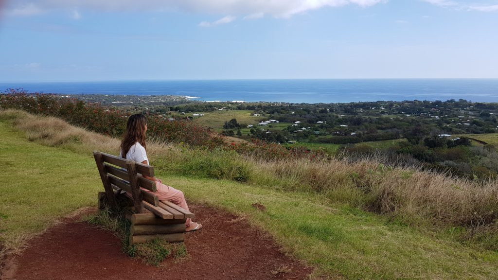 view over hanga roa