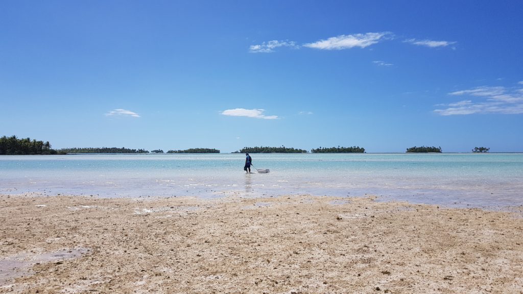 blue lagoon rangiroa