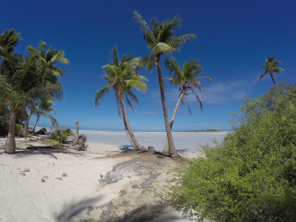 blue lagoon rangiroa view