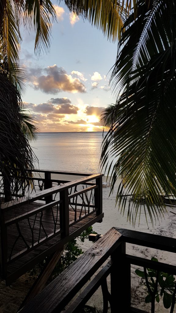 hotel paradise cove view aitutaki