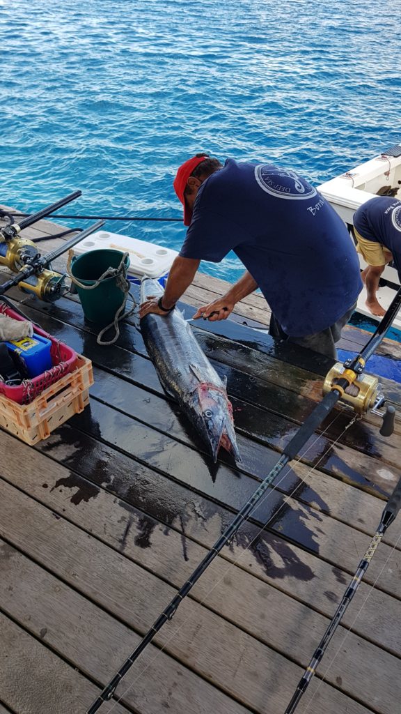 fresh fish cut bora bora