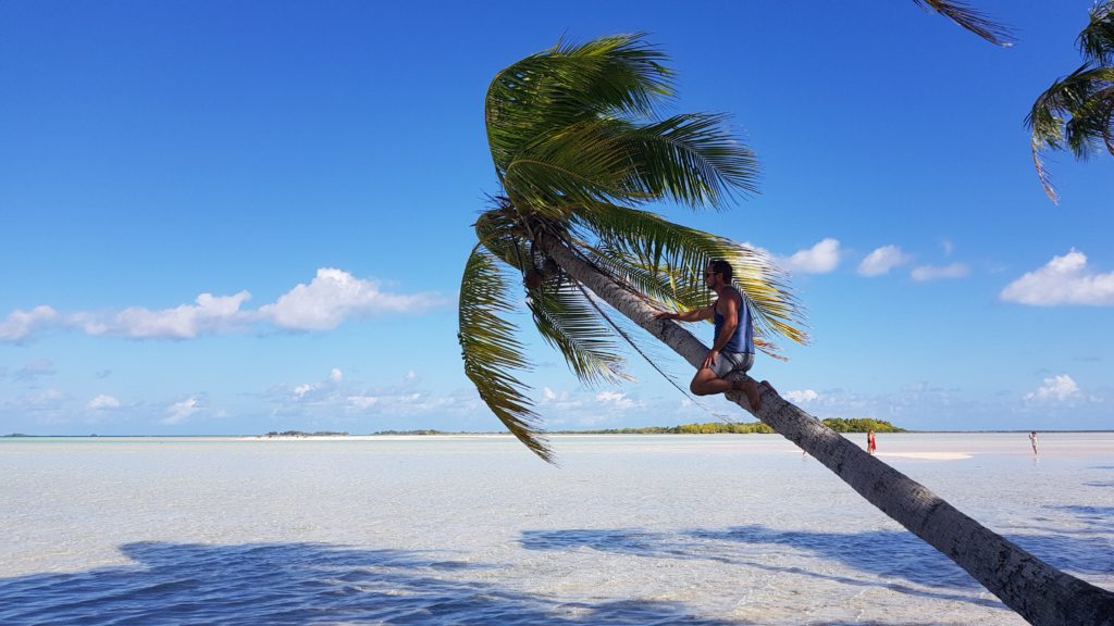 on top of the palm rangiroa