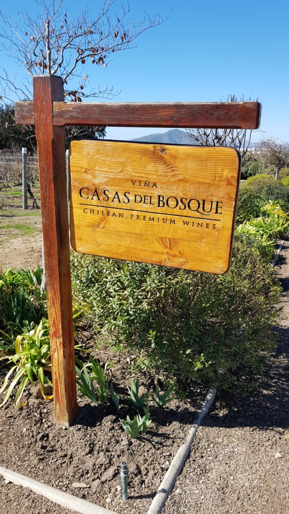 wine, tasting, casas del bosque, shield, chile